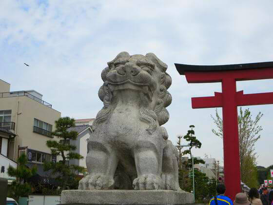 鶴岡八幡宮 ニの鳥居 狛犬 左