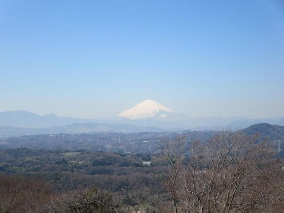 湘南平 富士山
