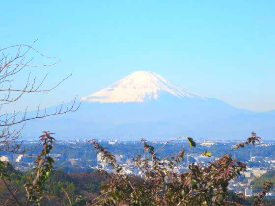 円海山ハイキングコース