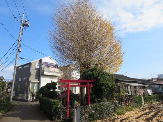 町田フットパス 成瀬 金森
