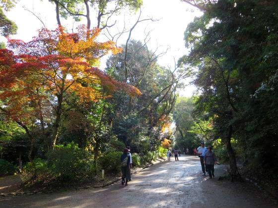 日野俊基の墓 紅葉