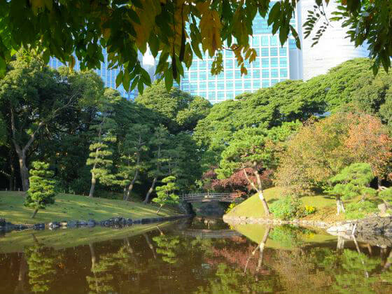 浜離宮恩賜庭園 お伝い橋 紅葉