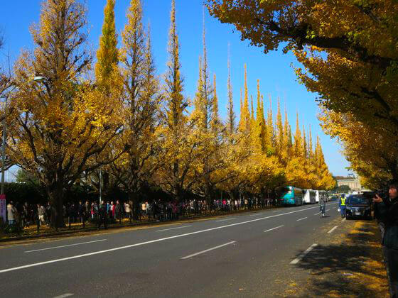 明治神宮外苑紅葉