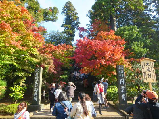 円覚寺の紅葉 年の見頃と現在の状況は 鎌倉市山ノ内 歩いてみたブログ