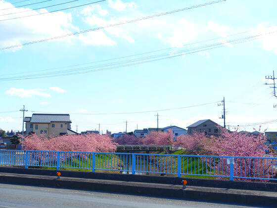 青毛掘川 池の台橋