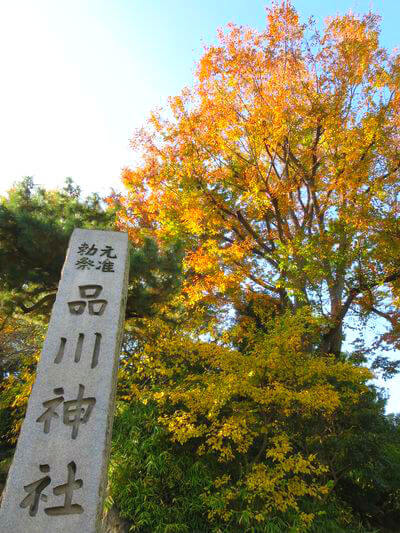 品川神社の紅葉 年の見頃の時期は 歩いてみたブログ