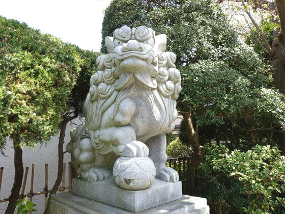鎌倉 五所神社 狛犬
