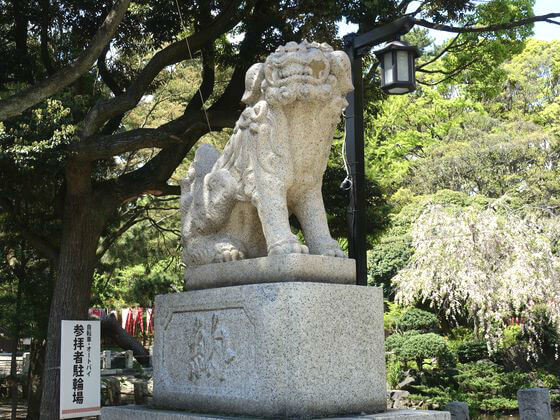 平塚八幡宮 狛犬