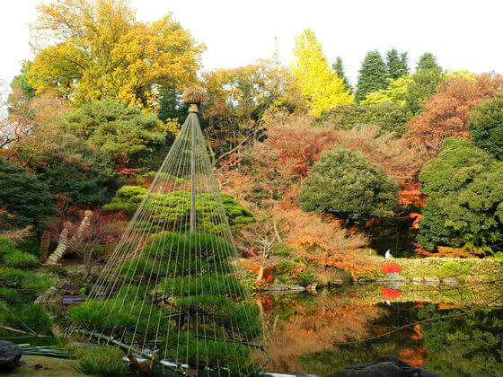 旧古河庭園 日本庭園