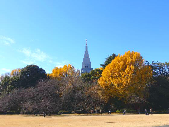 新宿御苑 紅葉