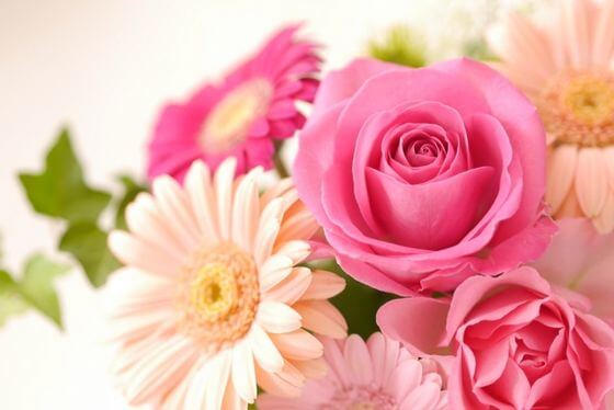 送別会で贈る花束のおすすめは 相場は 男性 女性には 歩いてみたブログ