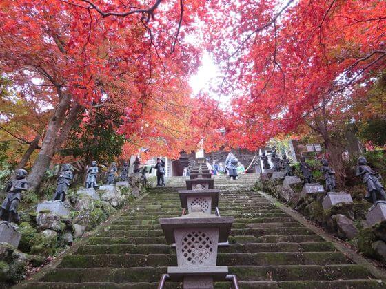 大山寺 参道