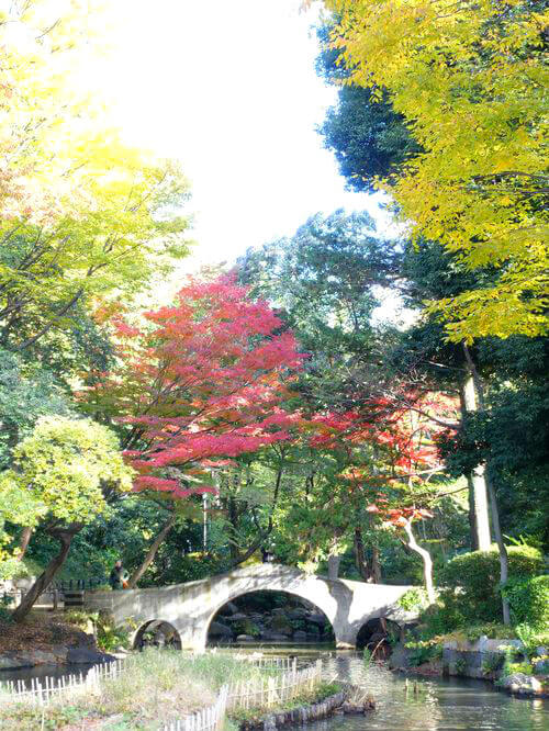 有栖川公園 日本庭園 紅葉