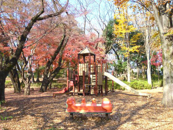 石神井公園 遊具ひろば 紅葉