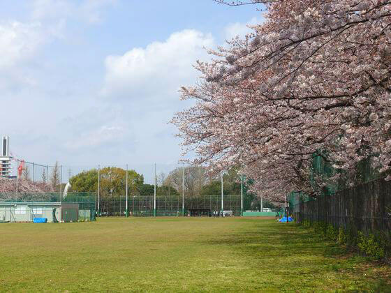 桜 駒沢公園