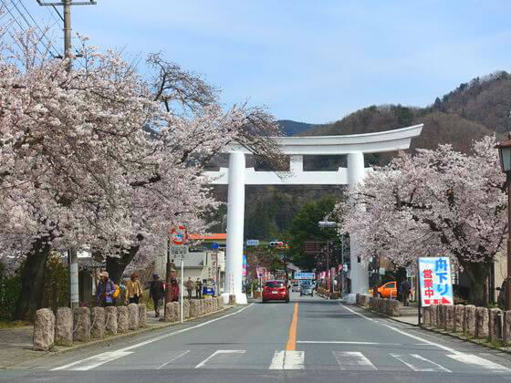 宝登山神社 桜