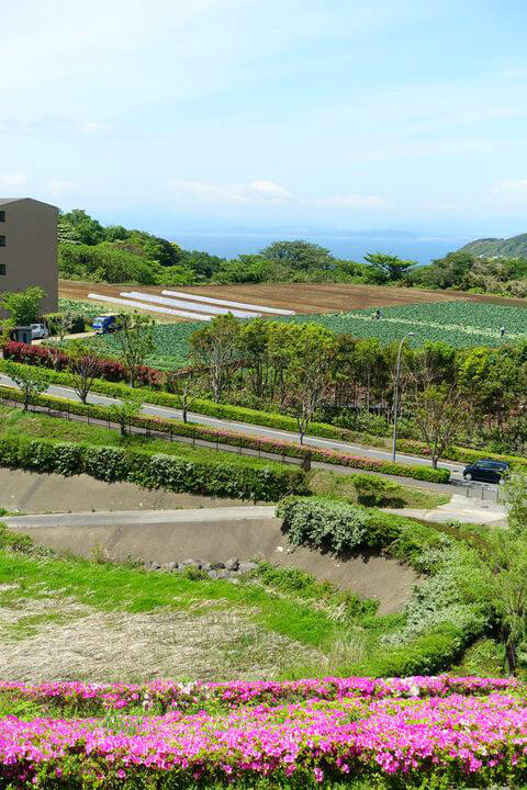 湘南国際村 景色