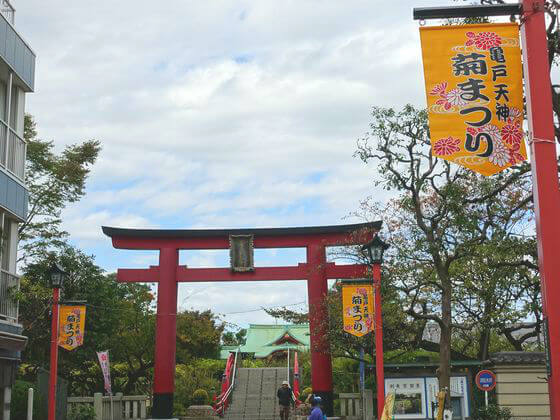 亀戸天神社の菊まつり 22年の開花状況は 歩いてみたブログ