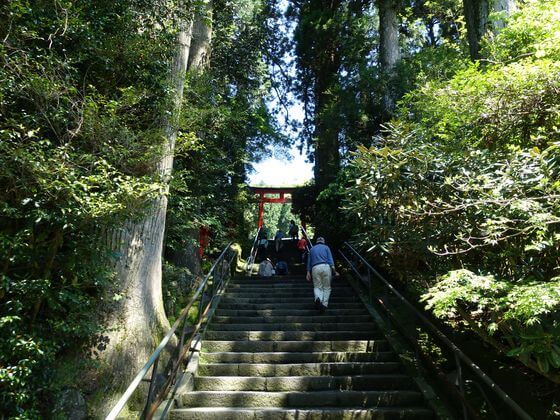 箱根神社 石段