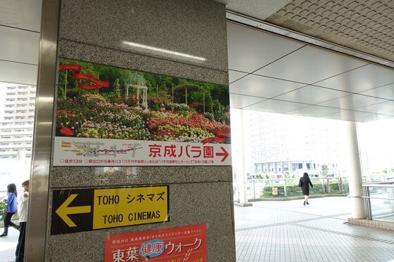 京成バラ園へのアクセス方法 駐車場は 歩いてみたブログ