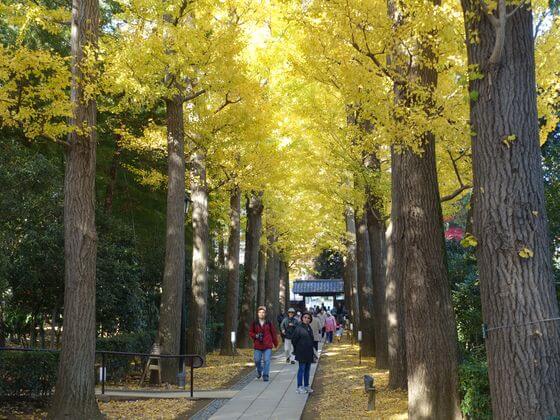 大田黒公園の紅葉 21年の見頃と現在の状況は アクセス方法 駐車場は 歩いてみたブログ