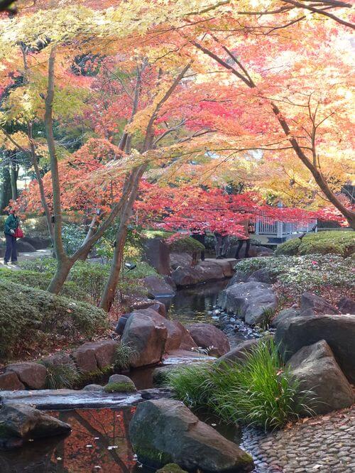 大田黒公園 紅葉狩り