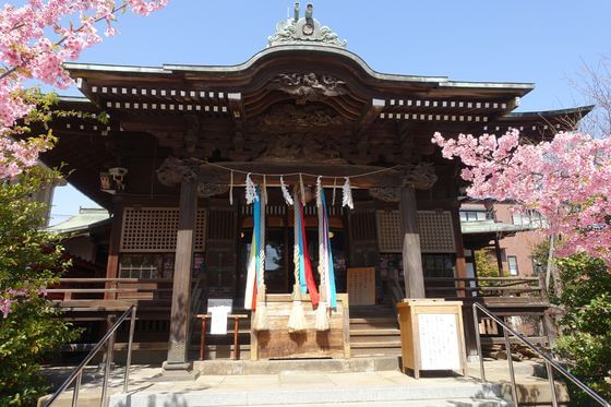 桜神宮 本殿