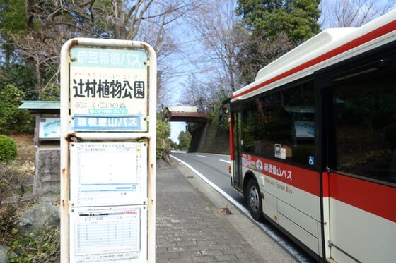 辻村植物園 バス