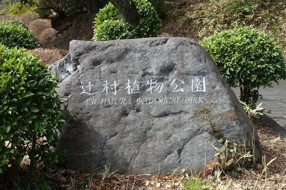 辻村植物園