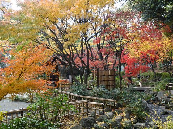 横浜公園 庭園 紅葉