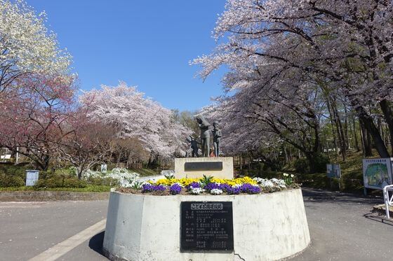 北本子供公園 桜