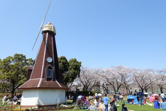 浮間公園 桜