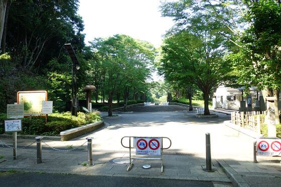 横浜 四季の森公園
