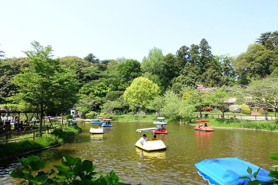 清水公園へのアクセス方法 駐車場は 千葉県野田市 歩いてみたブログ