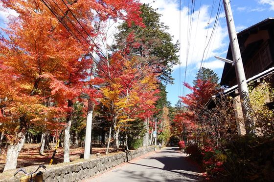 軽井沢の紅葉 年の有名な名所から穴場までおすすめスポット１１選 歩いてみたブログ