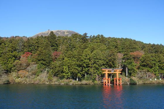 箱根神社 平和の鳥居 紅葉
