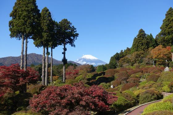 山のホテル 富士山 紅葉