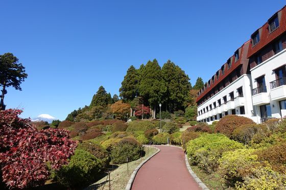 箱根 山のホテル 紅葉