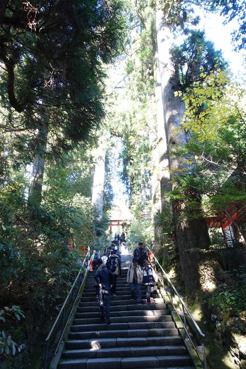 箱根神社 石段