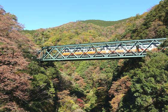 早川橋梁 紅葉