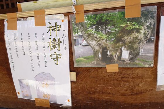 軽井沢諏訪神社の御朱印とパワースポットは アクセス方法は 歩いてみたブログ