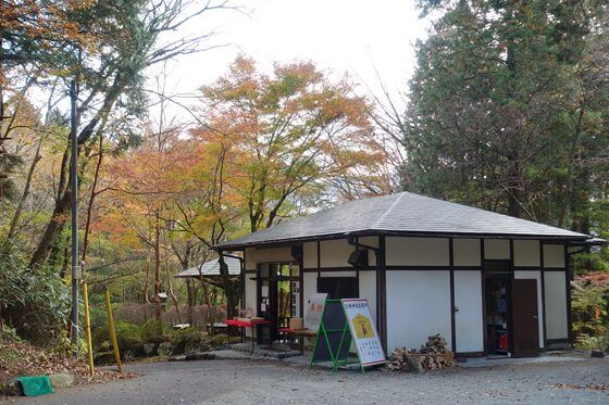 公時神社 社務所 紅葉