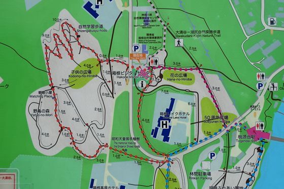 箱根 花の広場 地図