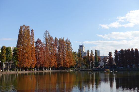 別所沼公園 アクセス