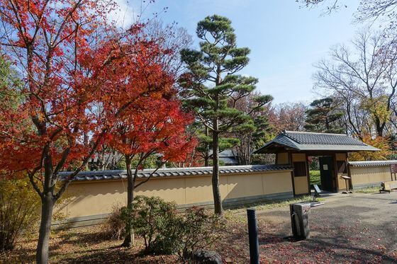 所沢航空記念公園 日本庭園 紅葉