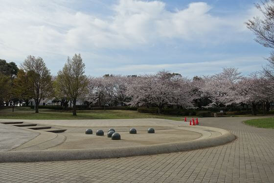 青葉の森公園 水の広場 桜
