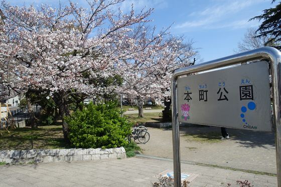 本町公園 千葉 桜