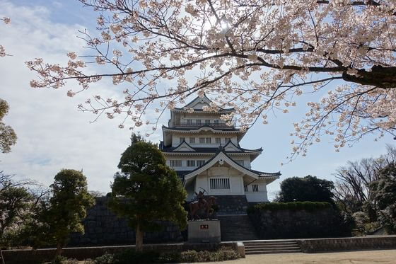 亥鼻公園 桜