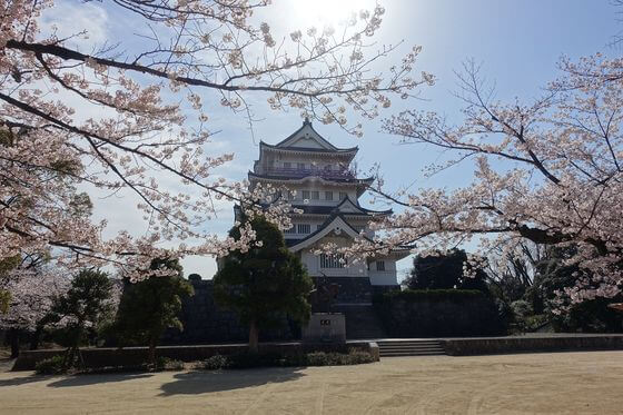 亥鼻公園の桜 22年の見頃と開花状況は 千葉城さくら祭りは 千葉市のお花見スポット 歩いてみたブログ