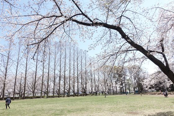 伊佐沼公園 多目的広場